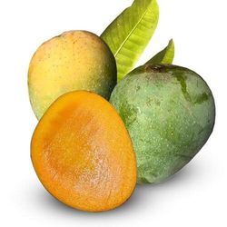 Himsagar Mango